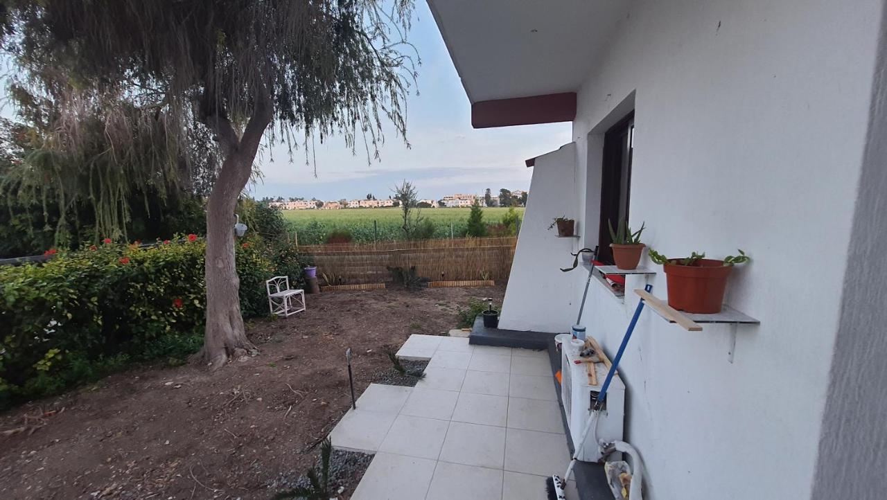 Nice Holiday Apartment Paphos Eksteriør billede